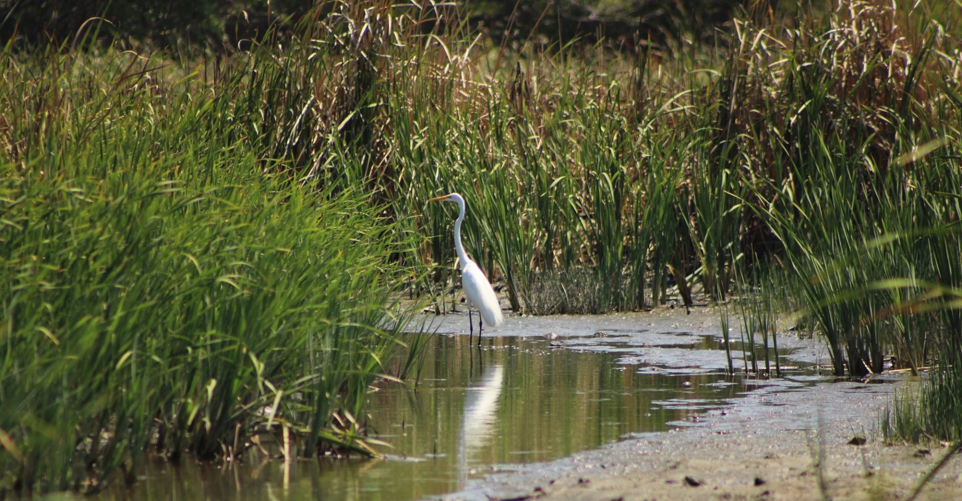 Río Lempa es una fuente de ingreso para pescadores artesanales